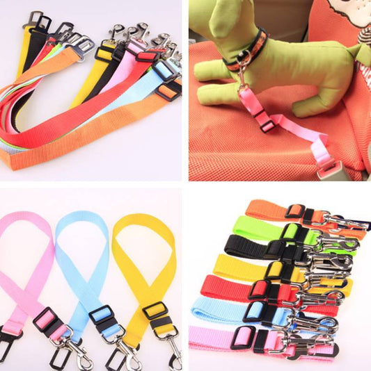 Fixed Strap Polyester Dog Leash Pet Walking Strap Pet Products